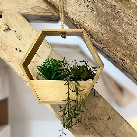 Les Combles De Colbert- Hyper Center