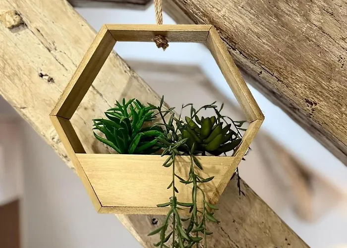 Les Combles De Colbert- Hyper Center